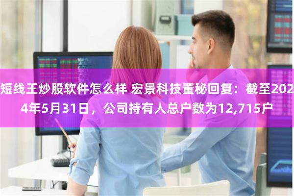 短线王炒股软件怎么样 宏景科技董秘回复：截至2024年5月31日，公司持有人总户数为12,715户