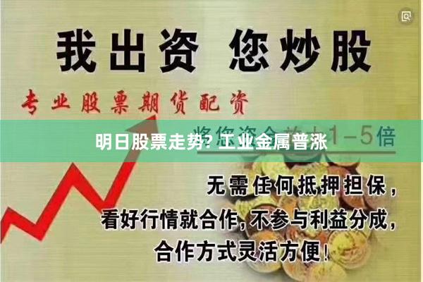 明日股票走势? 工业金属普涨