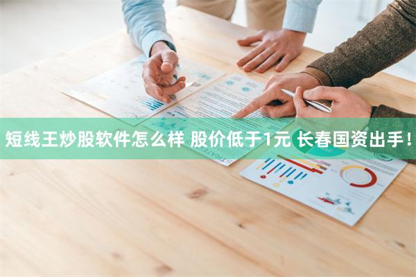 短线王炒股软件怎么样 股价低于1元 长春国资出手！