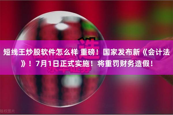 短线王炒股软件怎么样 重磅！国家发布新《会计法》！7月1日正式实施！将重罚财务造假！