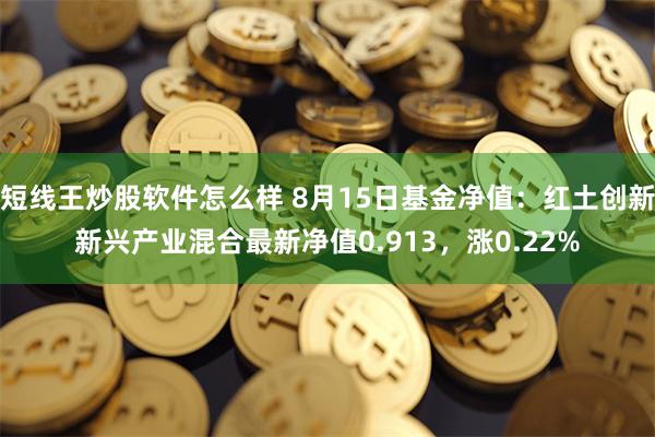短线王炒股软件怎么样 8月15日基金净值：红土创新新兴产业混合最新净值0.913，涨0.22%