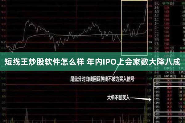 短线王炒股软件怎么样 年内IPO上会家数大降八成