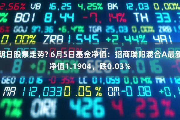 明日股票走势? 6月5日基金净值：招商瑞阳混合A最新净值1.1904，跌0.03%