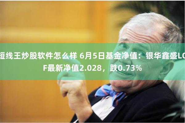 短线王炒股软件怎么样 6月5日基金净值：银华鑫盛LOF最新净值2.028，跌0.73%
