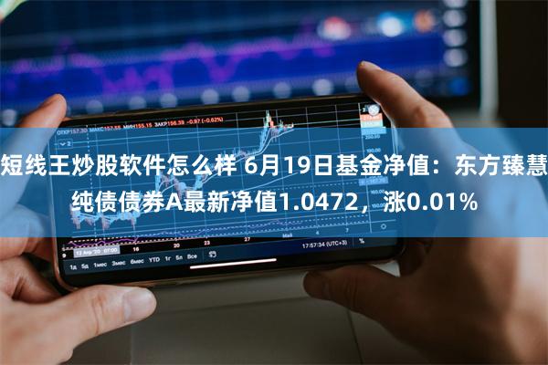 短线王炒股软件怎么样 6月19日基金净值：东方臻慧纯债债券A最新净值1.0472，涨0.01%