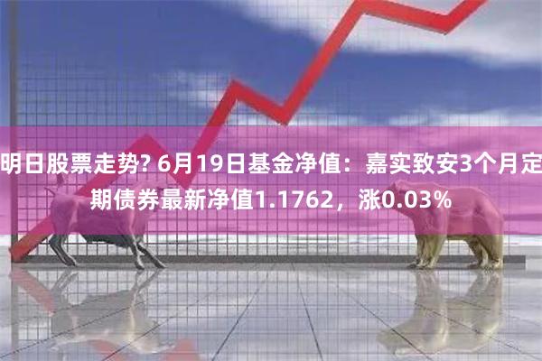 明日股票走势? 6月19日基金净值：嘉实致安3个月定期债券最新净值1.1762，涨0.03%
