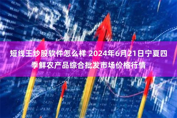 短线王炒股软件怎么样 2024年6月21日宁夏四季鲜农产品综合批发市场价格行情