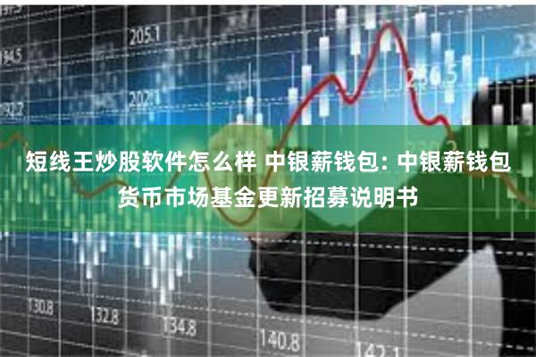 短线王炒股软件怎么样 中银薪钱包: 中银薪钱包货币市场基金更新招募说明书