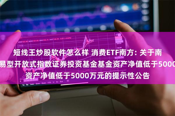 短线王炒股软件怎么样 消费ETF南方: 关于南方中证主要消费交易型开放式指数证券投资基金基金资产净值低于5000万元的提示性公告
