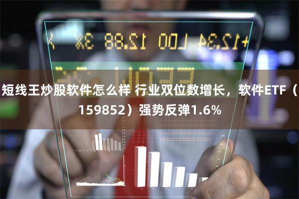 短线王炒股软件怎么样 行业双位数增长，软件ETF（159852）强势反弹1.6%