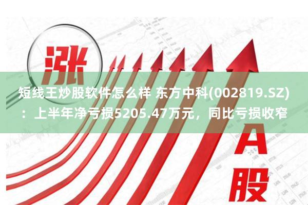 短线王炒股软件怎么样 东方中科(002819.SZ)：上半年净亏损5205.47万元，同比亏损收窄