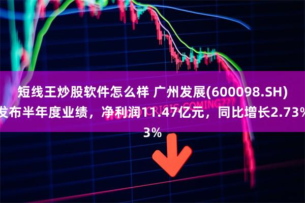 短线王炒股软件怎么样 广州发展(600098.SH)发布半年度业绩，净利润11.47亿元，同比增长2.73%
