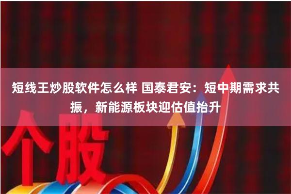 短线王炒股软件怎么样 国泰君安：短中期需求共振，新能源板块迎估值抬升