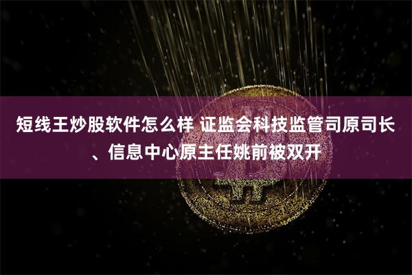 短线王炒股软件怎么样 证监会科技监管司原司长、信息中心原主任姚前被双开