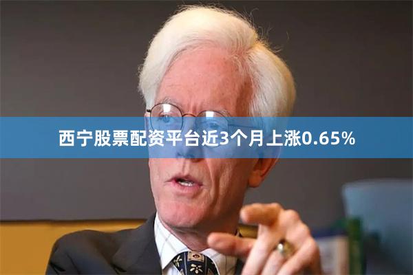 西宁股票配资平台近3个月上涨0.65%